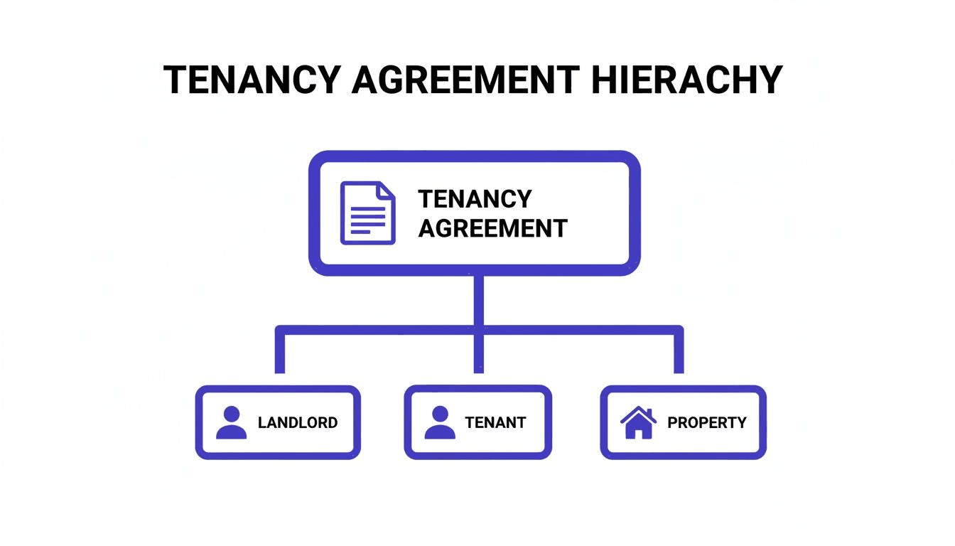Tenancy Agreement Hierarchy